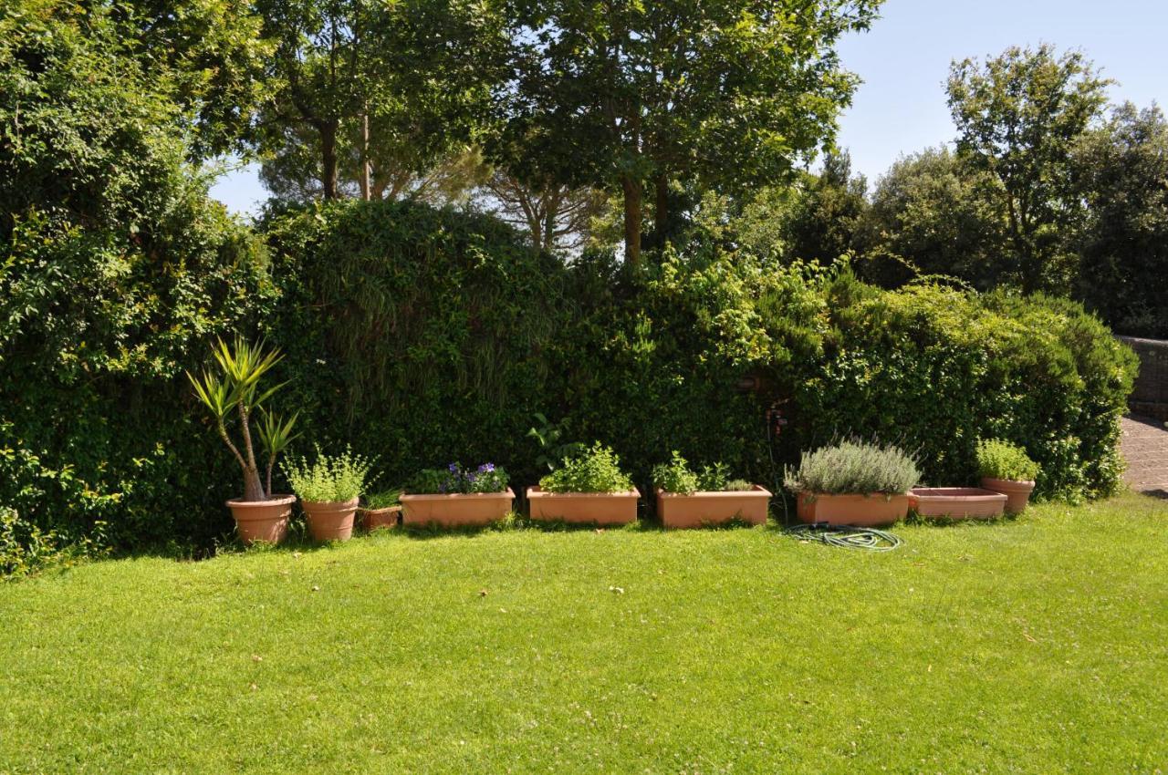 Bed and Breakfast Casale Vicino Al Golf Nazionale Monterosi Экстерьер фото