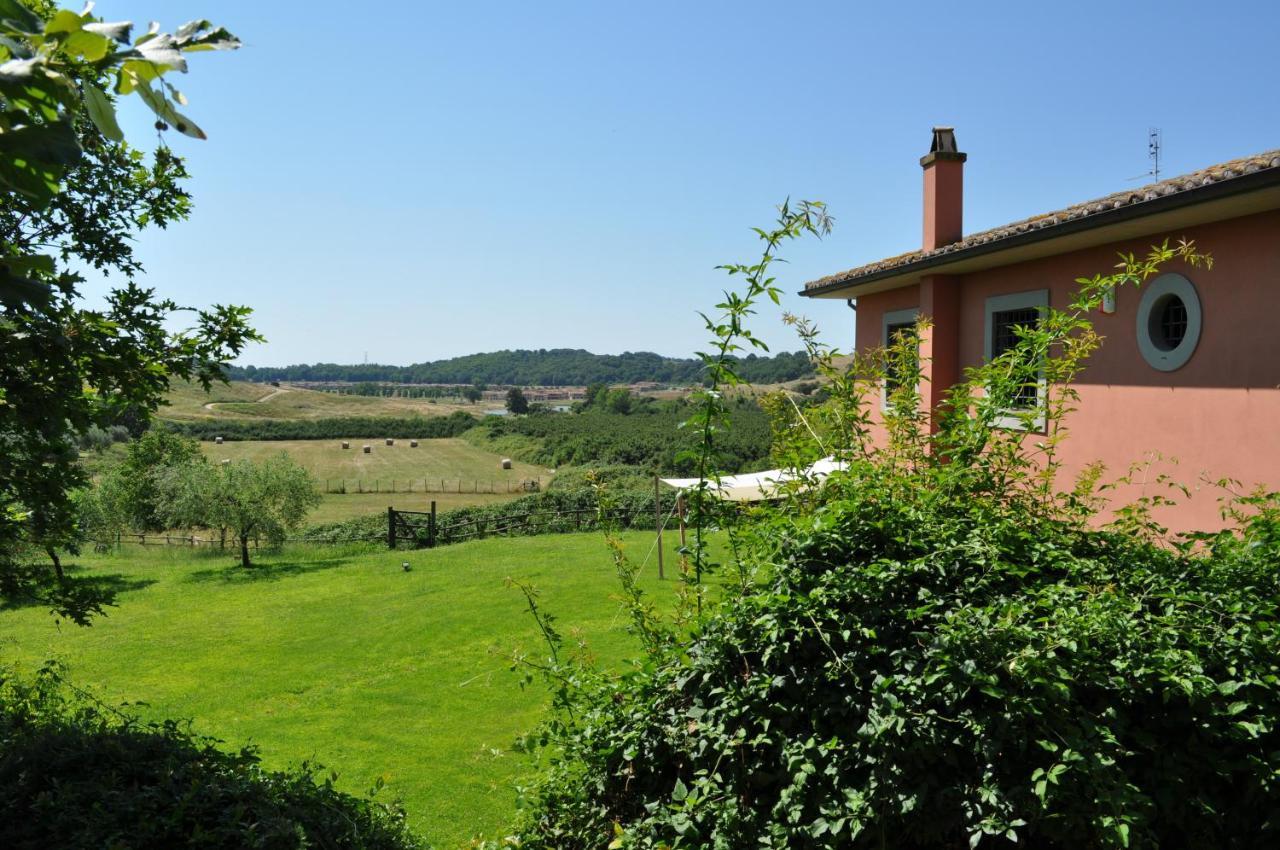Bed and Breakfast Casale Vicino Al Golf Nazionale Monterosi Экстерьер фото